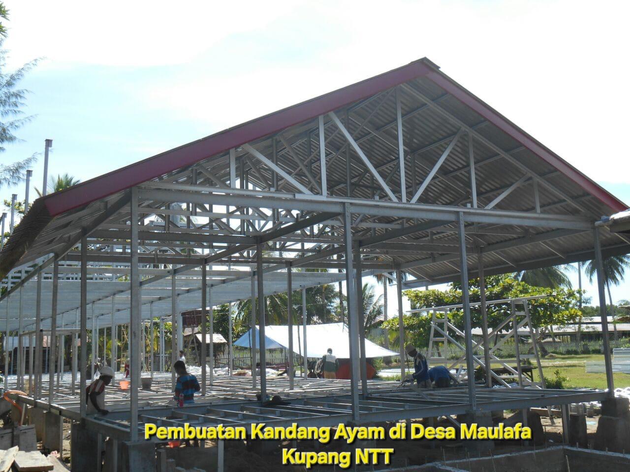 Kandang Ayam Maulafa